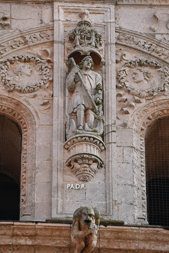 Foto : Studio43-Pedro Antonio - Burgos