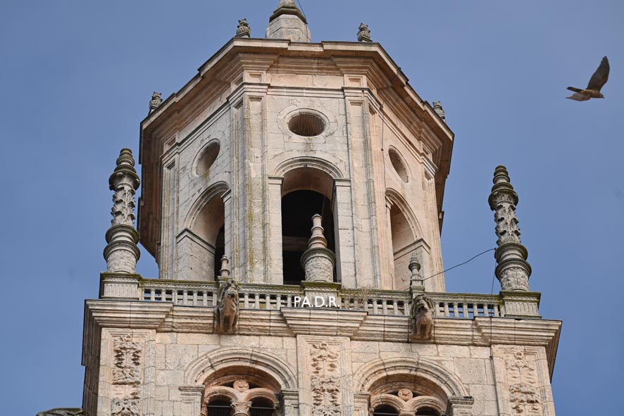 Foto : Studio43-Pedro Antonio - Burgos