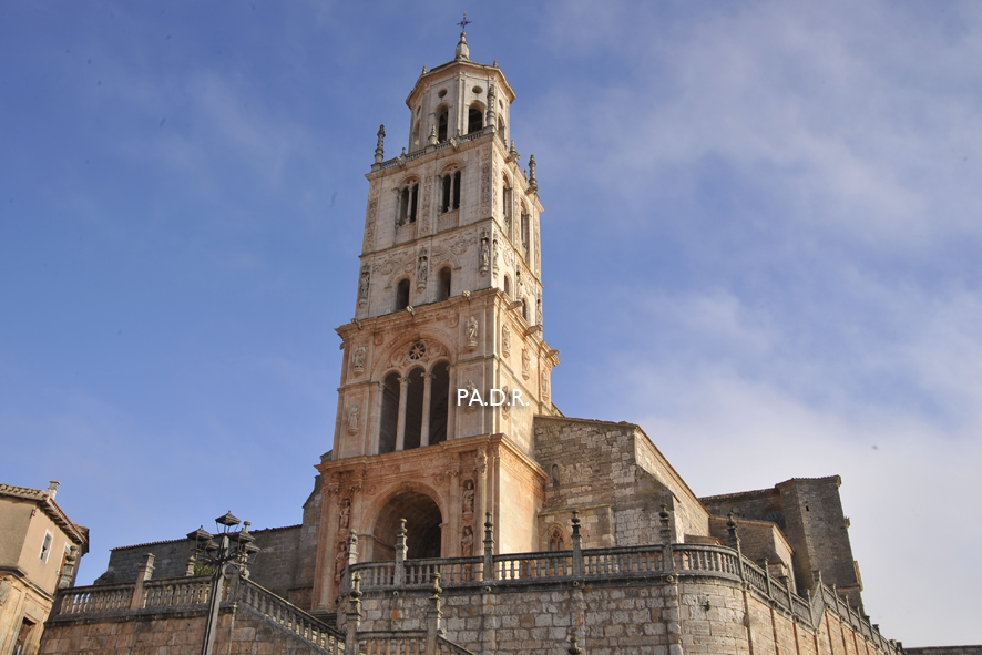 Foto : Studio43-Pedro Antonio - Burgos