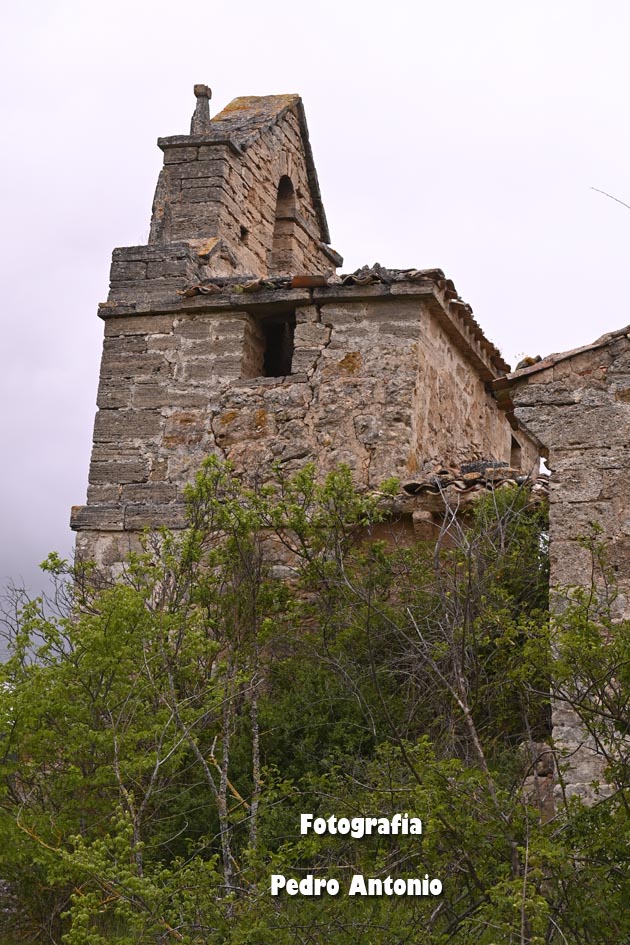  DSC3553