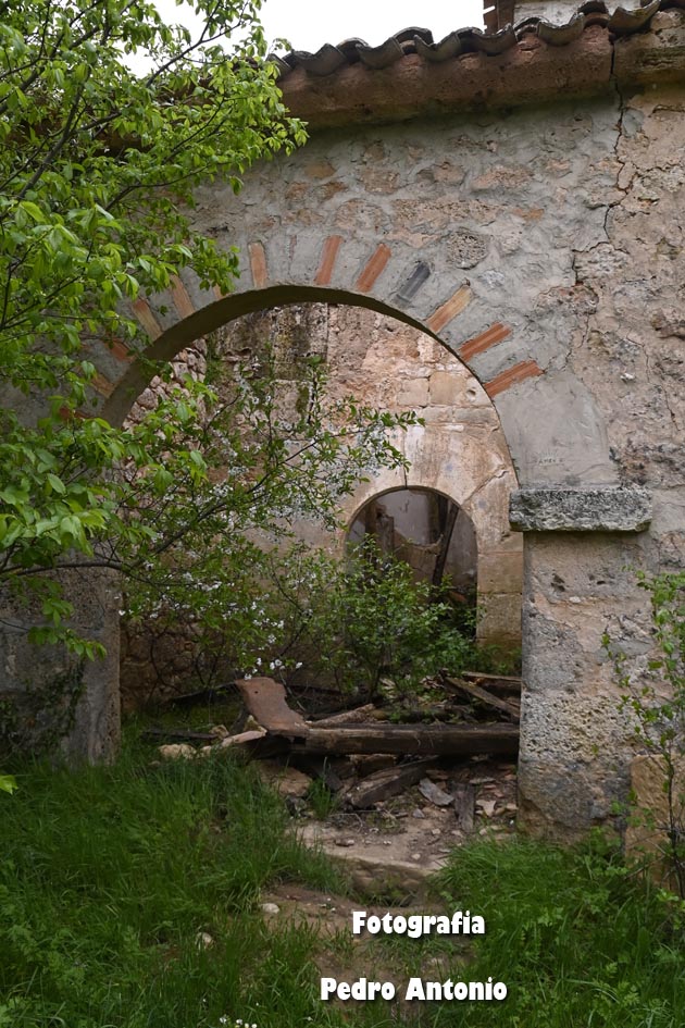  DSC3563