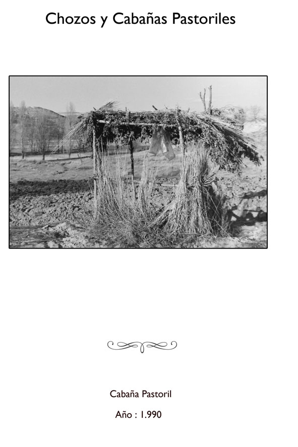 CABAÑA TORRESANDINO