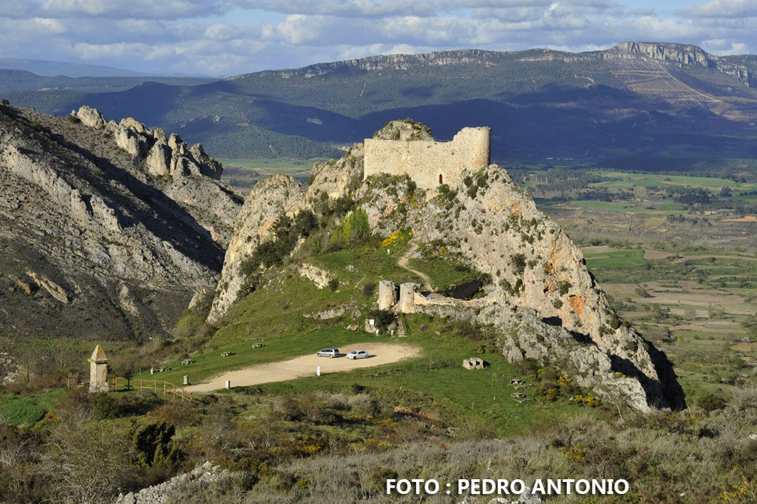 CASTILLO DE POZA DE LA SAL