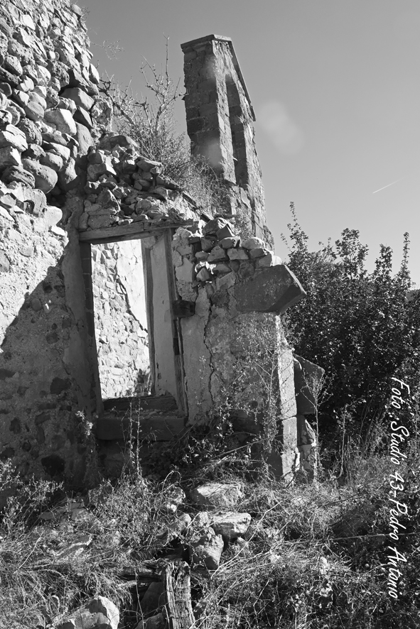 DSC6407