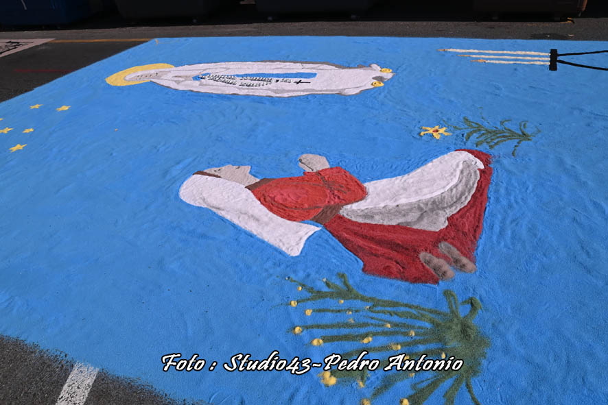 DSC 0617