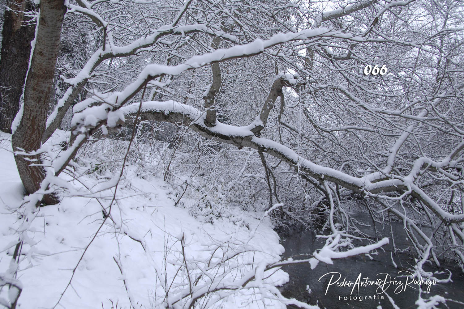 EL RIO ARLANZON CUBIERTO DE NIEVE