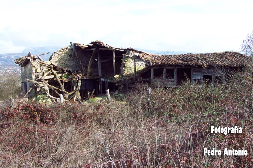 CABAÑAS DE OTEO 2