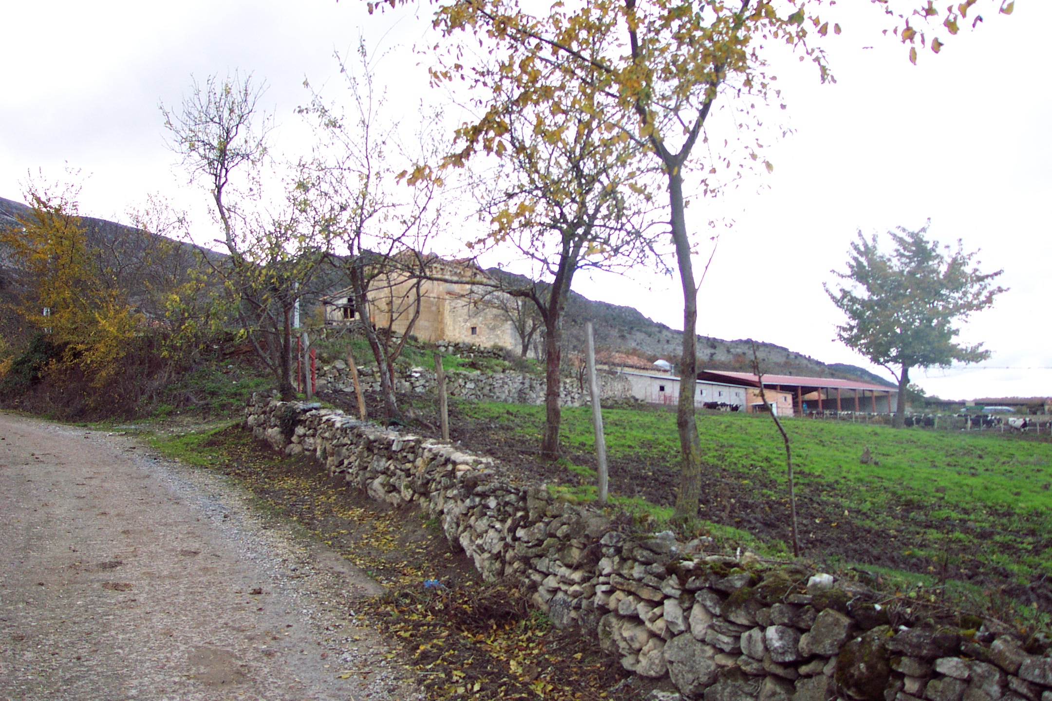DCP 5267