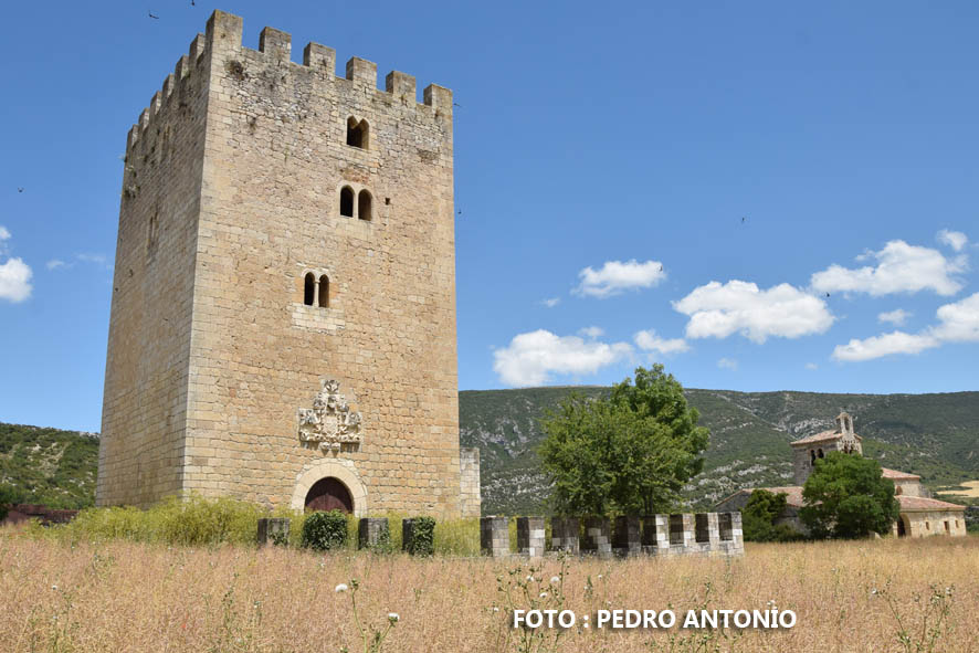 TORRE DE LOS FERNANDEZ VELASCO DE VALDENOCEDA