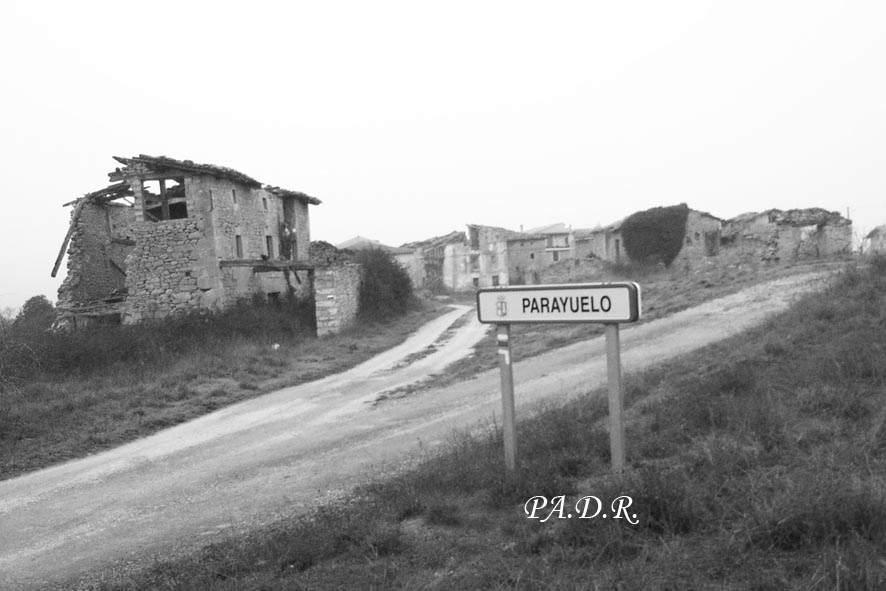 PARAYUELO