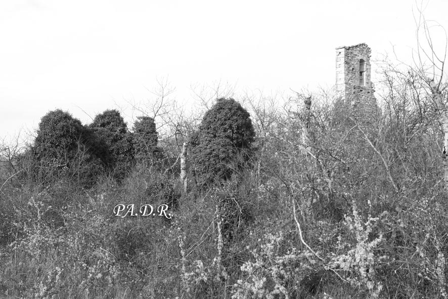 VILLASOPLIZ