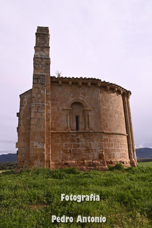  DSC2745