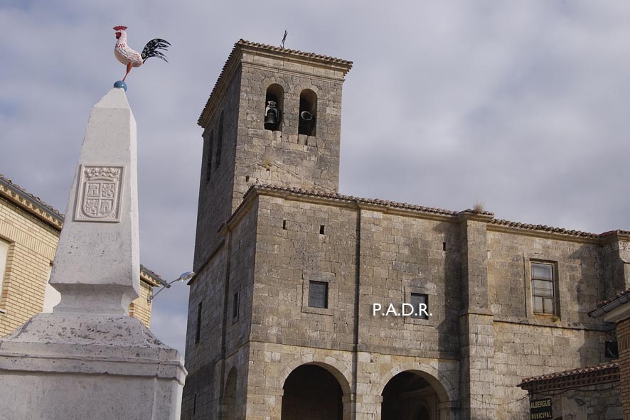 PLZ HNLLS DEL CAMINO 08