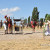 FIESTA ROMANA AL DIOS BACO