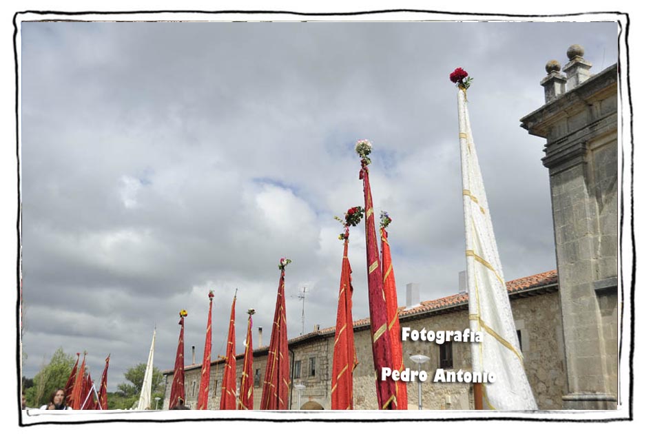 PENDONES BANDERAS Y ESTANDARTES,ESTUDIO VEXILOLOGICO
