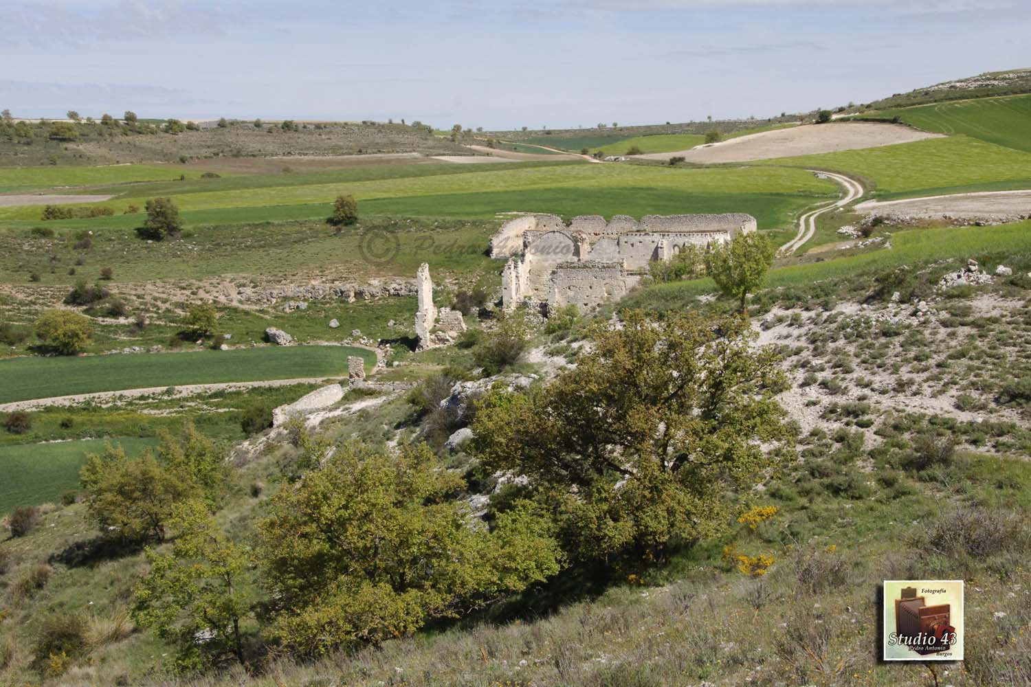 Monasterio de Santa María de los Valles  en Torresandino