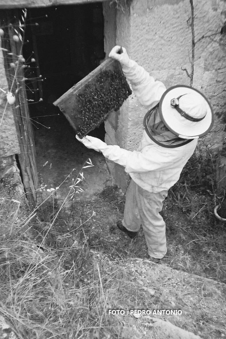 LA CATA DE ABEJAS,OFICIOS ARTESANOS