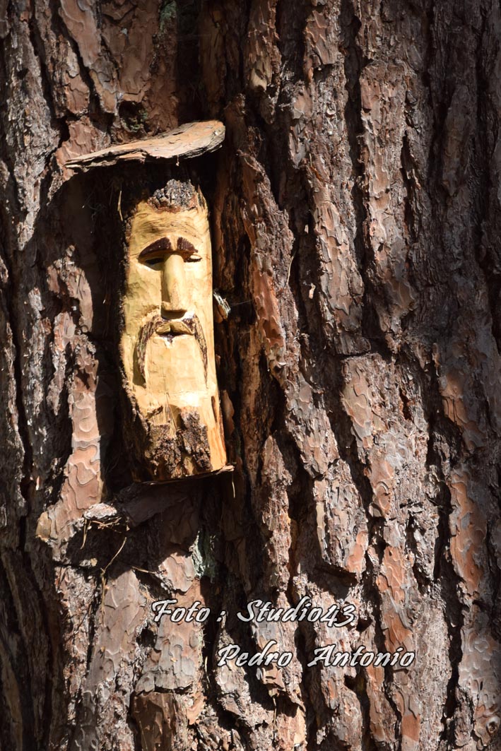 Una AVENTURA CON EL BOSQUE MAGICO EN S. L DE YAGÜE,SORIA