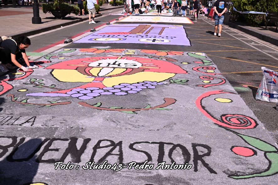 ALFOMBRAS DE SAL EN LOGROÑO,ARTES Y TRADICIONES POPULARES