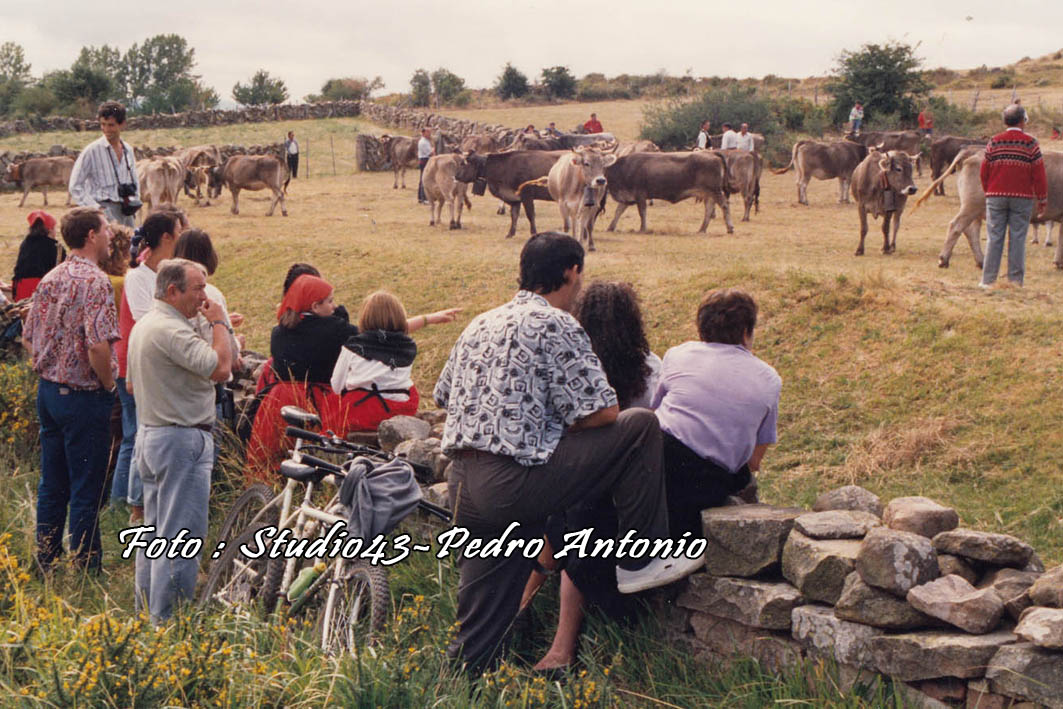 FIESTA DE LOS CAMPANOS ,EN ABIADA ,CANTABRIA