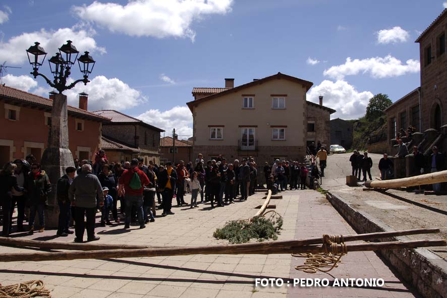 PINGADA DEL MAYO EN PINILLA LOS BARRUECOS