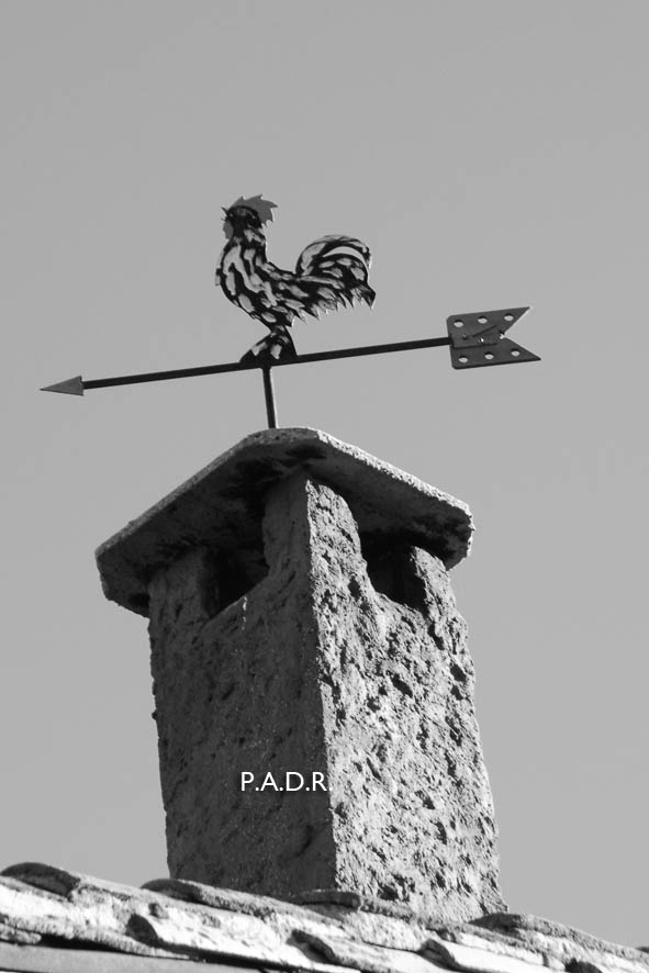 SINBOLOGIA DEL GALLO EN HERALDICAS, ESCUDOS,VELETAS