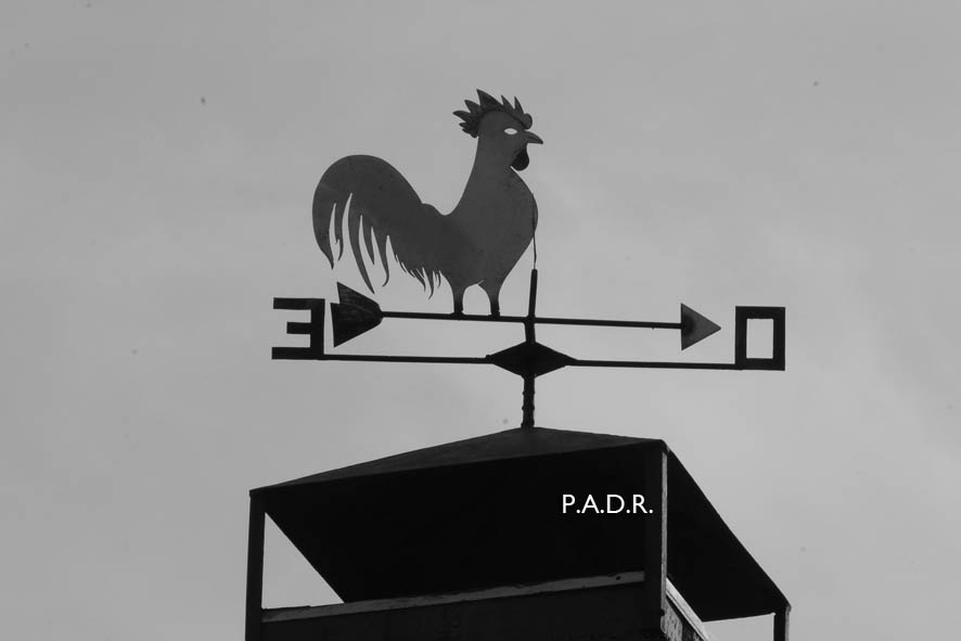SINBOLOGIA DEL GALLO EN HERALDICAS, ESCUDOS,VELETAS