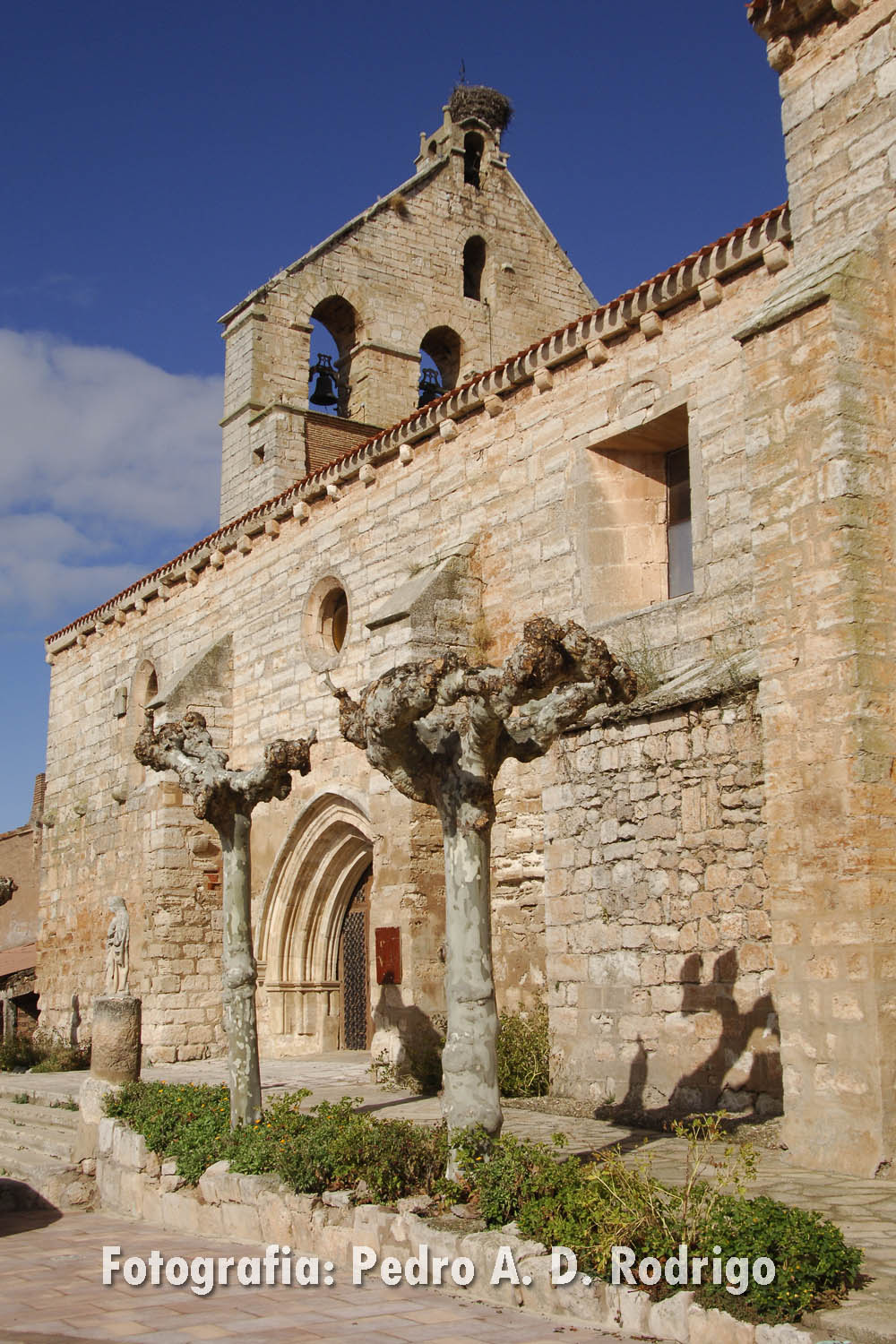 POR TIERRAS DE PRESENCIO