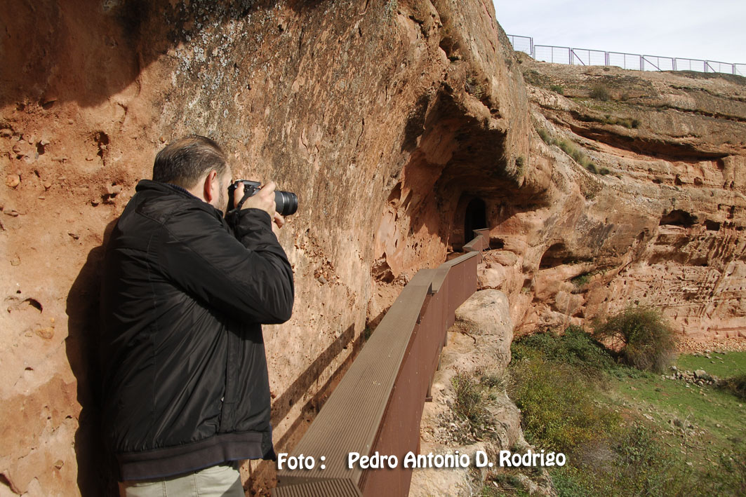 COMPLEJO ARQUEOLOGICO DE TIERMES,SORIA