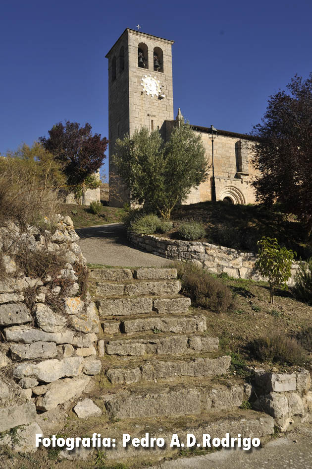 SUSINOS DEL PARAMO