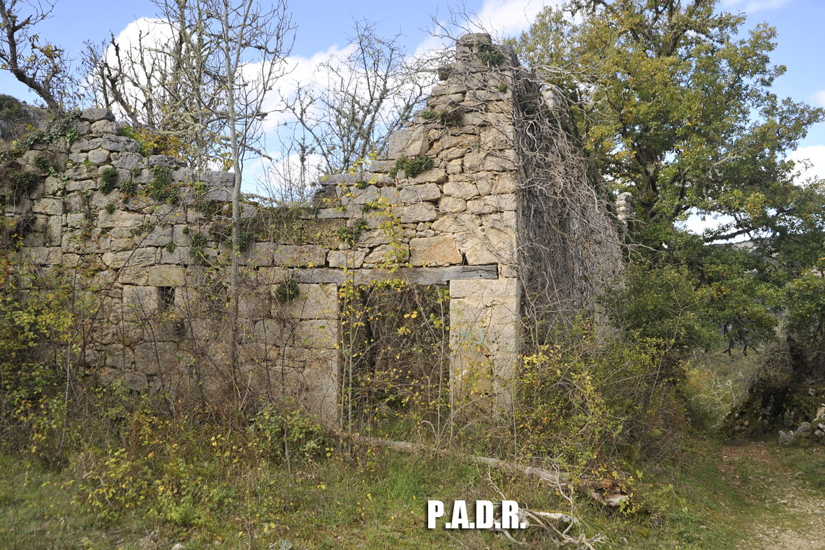 EL DESPOBLASO DE SIERO,PUEBLOS ABANDONADOS DE BURGOS