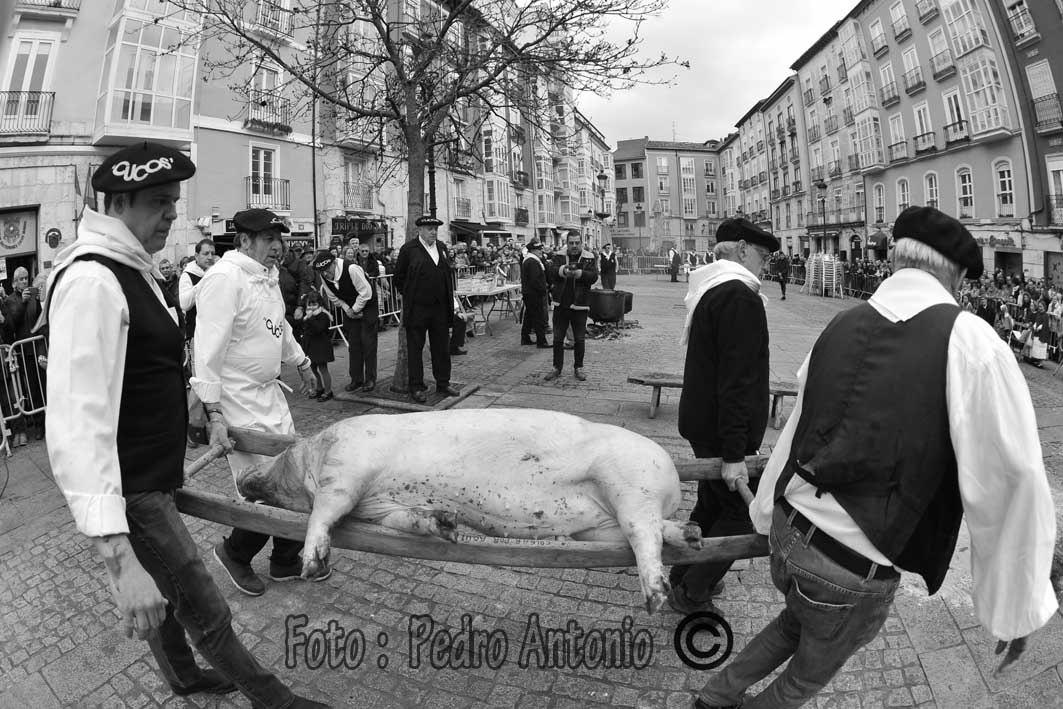 FIESTA DE LA MATANZA EN LA FLORA-BURGOS