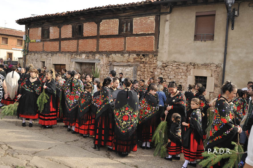 COMBATE DE LA PINOCHADA EN VINUESA,SORIA
