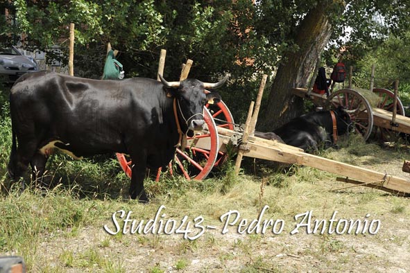 Recuperando las Tradiciones, Ruta Carreteril con destino, Burgos -Pasaia